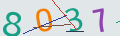 verifycode